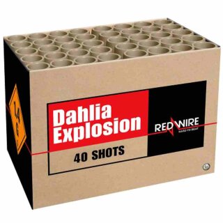Dahlia Explosion - Lesli