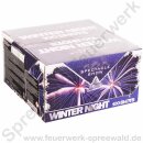 Winter Night 2017 - Evolution Fireworks