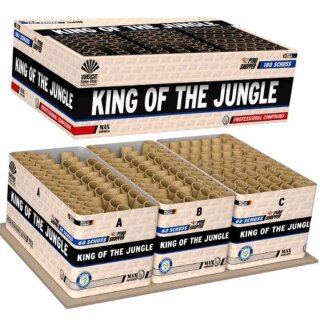 King Of The Jungle - Lesli