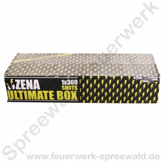 Ultimate Box Feuerwerk Batterie - 288 Schuss Verbundfeuerwerk - 4480g NEM - Zena