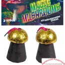 Magic Mushrooms Fontänen - Lesli